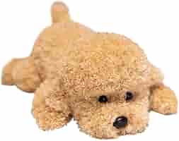 Amazon.co.jp: トイプードル ぬいぐるみ かわいいテディ犬の